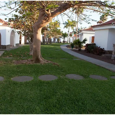 Lyra Is A New Experience, Beauty And Silence