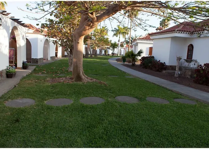 Lyra Is A New Experience, Beauty And Silence