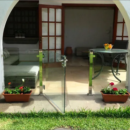 Lyra Is A New Experience, Beauty And Silence