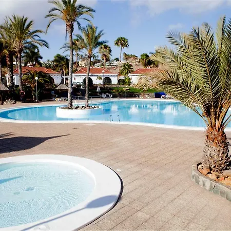 Lyra Is A New Experience, Beauty And Silence