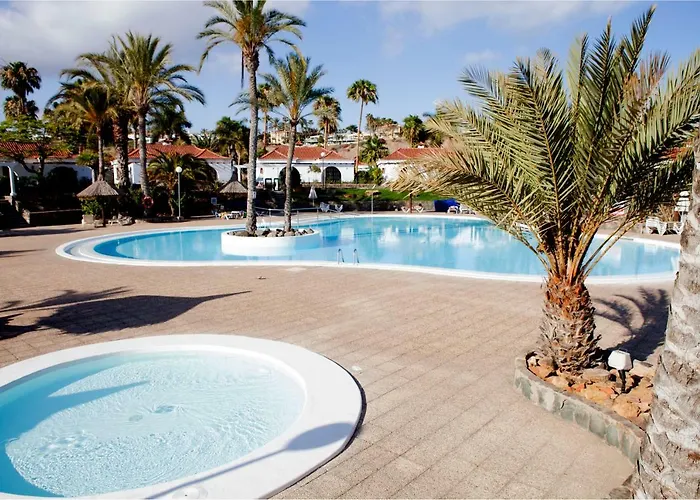 Lyra Is A New Experience, Beauty And Silence