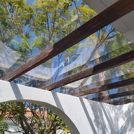 Lyra Is A New Experience, Beauty And Silence *