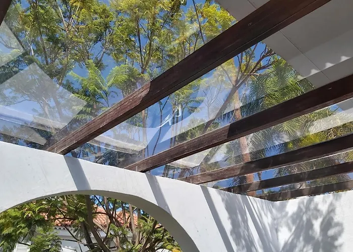 Lyra Is A New Experience, Beauty And Silence *